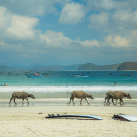 Selong Belanak Beach - Ideal waves to surf for total beginners