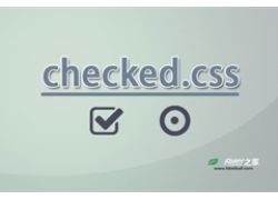 checked.css-超酷CSS3复选框和单选按钮点击动画库