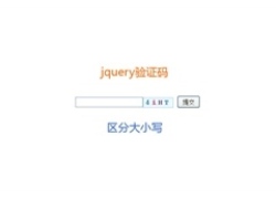 jQuery区分大小写验证码输入框