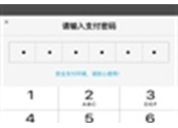 js仿手机支付宝支付密码特效