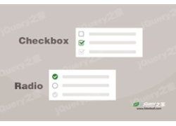 兼容IE8的CSS Checkbox和Radio美化插件