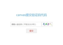 Canvas验证码输入提交代码