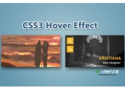 CSS3百叶窗式鼠标hover图片动画效果